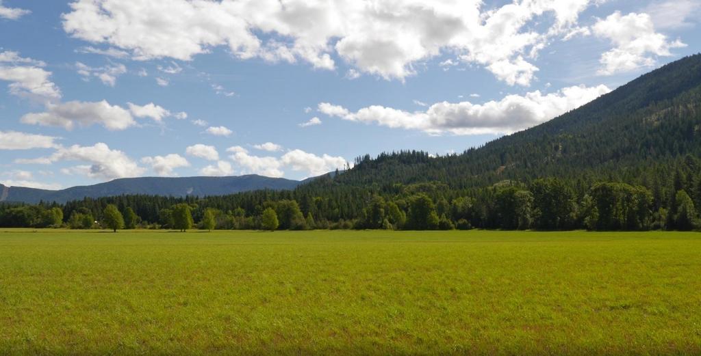 Athol Cedar Mountain Farm Bed And Breakfast Llc المظهر الخارجي الصورة